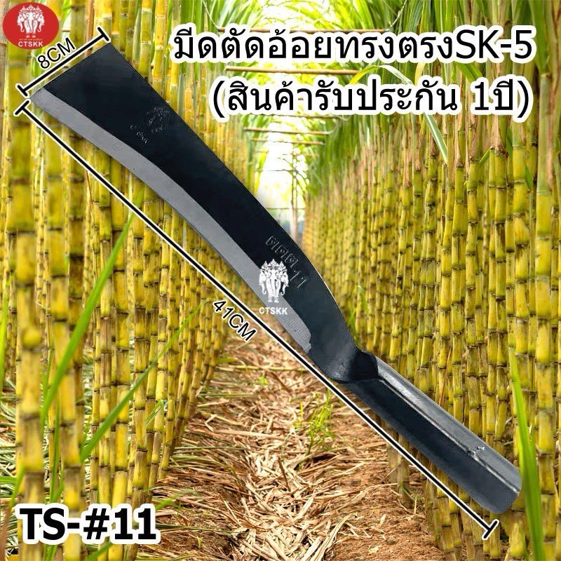 🔥🔥🔥สินค้ารับประกัน1ปี มีดตัดอ้อย TS-11 ทรงตรง มีดตัดอ้อยเหล็กแมงกานีสSK-5แท้ คมทนทาน ของแท้ พร้อมส่ง