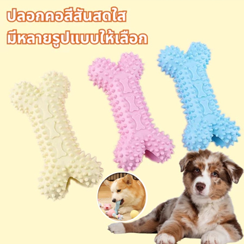 ของเล่นหมา ของเล่นเชือก หมาเล็ก สุนัขกลาง Dog Toy, Rubber Toy ของเล่นสัตว์เลี้ยง