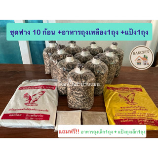 เชื้อเห็ดฟาง ชุด 10 ก้อน+อาหารถุงเหลือง1+แป้งถุงใหญ่1 แถมฟรี…