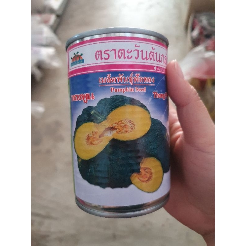 เมล็ดฟักทอง ทองพูน  ลูกใหญ่  เนื้อหนา เหลือง ตราตะวันต้นกล้า 50 กรัม