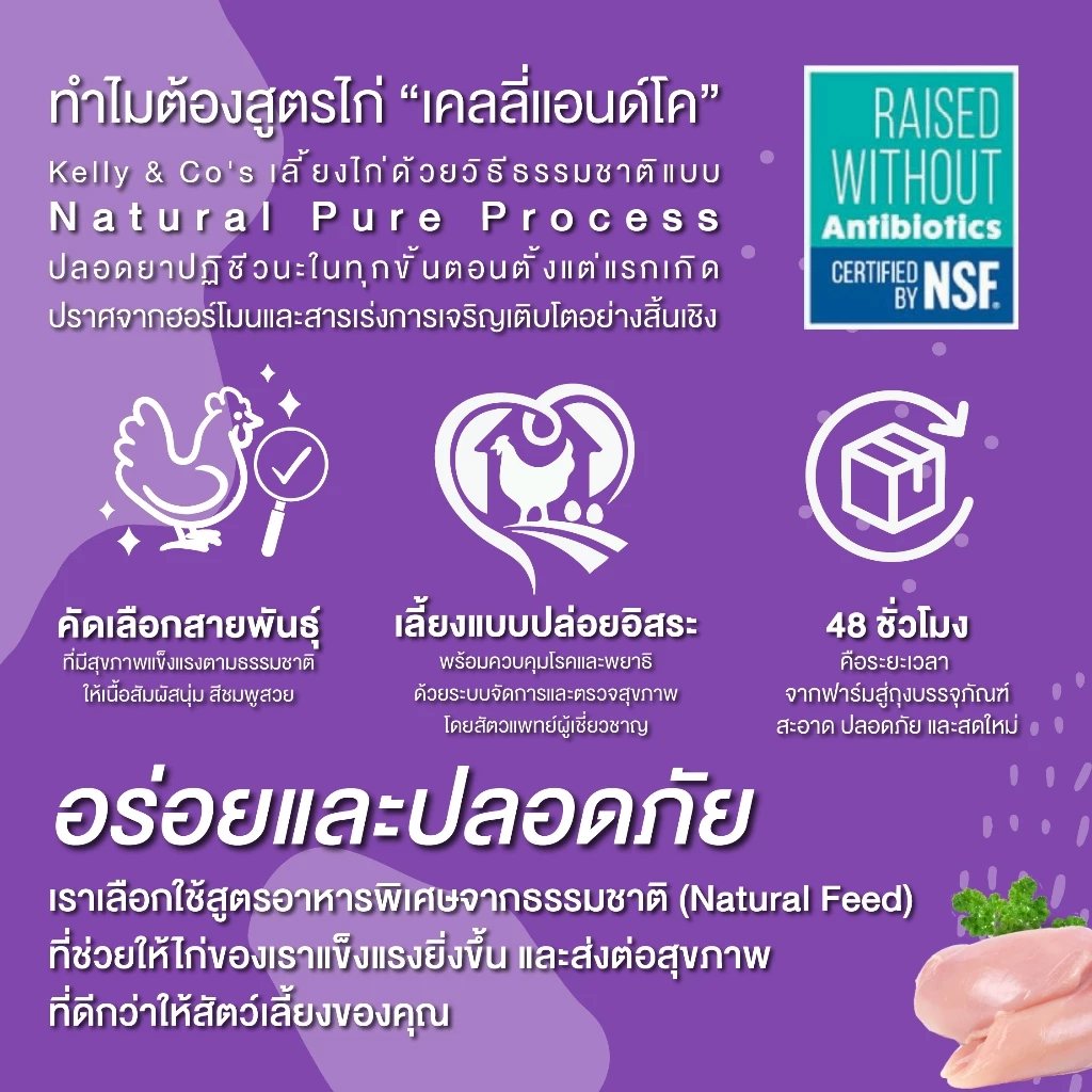 Kelly and Co ผงโปรตีนโรยอาหารแมว สูตรอกไก่ 50 กรัม thumbnail 10