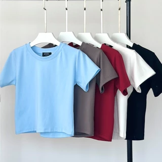 Atipashop - BECCA TOP เสื้อยืด แขนสั้น คอกลม ผ้ายืด เนื้อยุ้มเด้ง ใส่สบาย