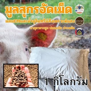 มูลหมูอัดเม็ด หมักจนหมดแก้สแล้วผสม EM และจุลินทรีย์สังเคราะห…