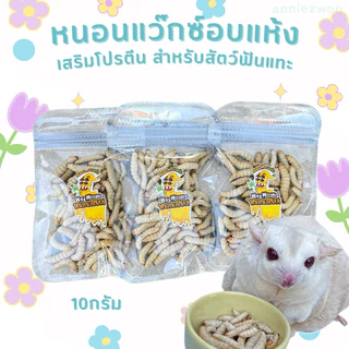 หนอนแว๊กซ์อบแห้ง (ฟรีซดราย) หรือหนอนน้ำผึ้งฟรีซดราย สำหรับชูการ์ไกรเดอร์ แฮมเตอร์ กระรอก เม่นแคระ ดอร์เมาส์
