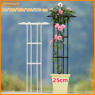 180cm ซุ้ม ไม้เลื้อย โครงเหล็กปลูกต้นไม้ ซุ้ม กุหลาบ สําเร็จ…