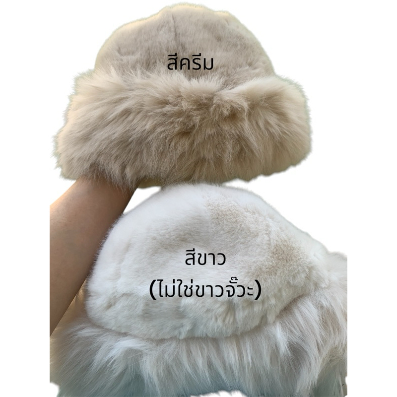 รูปภาพ 8