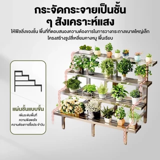 [สแตนเลส 304]ชั้นวางต้นไม้ 2/3/4ชั้น ความกว้าง80-150ซม. ชั้นวางของ ขั้นบันใด ชั้นวางกระถางดอกไม้ ที่วางดอกไม้ ไม่เป็นสน
