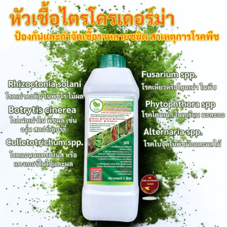 หัวเชื้อ เชื้อไตรโคเดอร์ม่า (Trichoderma ) ชนิดน้ำกำจัดโรครากเน่า โคนเน่า แคงเกอร์ ใบจุด ราสนิม