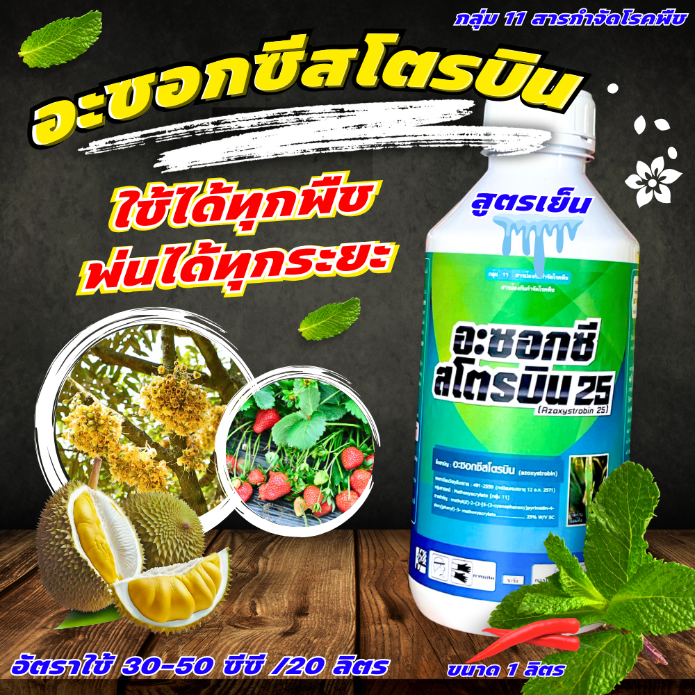 อะซอกซีสโตรบิน ขนาด 1 ลิตร เอ็กซ์มิสตา สารเดียวกับ อมิสตา กำจัดและป้องกันเชื้อรา โรคตากบ ตาเสือ