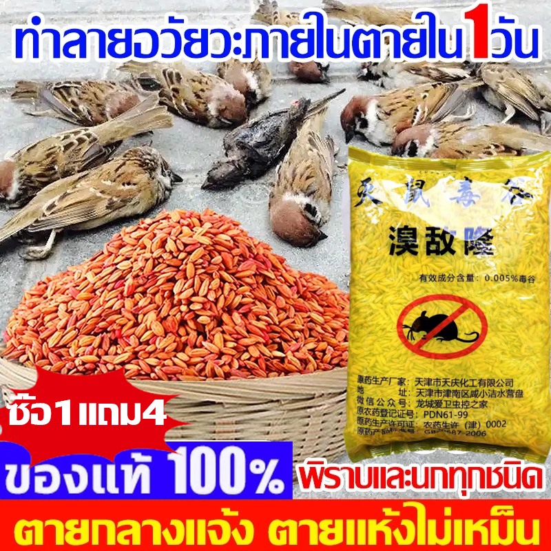 ซื้อ100gแถม400g ยาเบื่อนก ไล่นกพิราบ นำเข้าจากอเมริกาเหยื่อกำจัดนกวัน กันฝน กันแดด เหยื่อกำจัดนกพิราบ ยากำจัดนกพิราบ