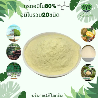 กรดอะมิโน20ชนิด80%1กิโลกรัม Amino Acid Powder อะมิโน แอซิด (อะมิโนพืช)