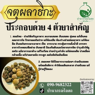 ชาจตุผลาธิกะ 120 กรัม ขับเมือกมันในลำไส้ มีถุงกรอง ปานาภรณ์โอสถ