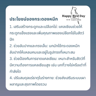 ของเล่นนก โมบายกระดองหมึก เสริมแคลเซียม สินค้าไทย (organic cuttlebone hanging) bird toys