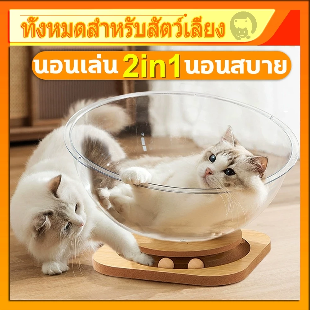 รังแมวแคปซูลอวกาศ🌟ของเล่นแมว หลุมแมว อะคริลิค พร้อมรางบอลแบบรางไม้ โดมแมว หลุมอวกาศ 2 in 1 คอนโดแมว แคปซูลที่นอนแมว
