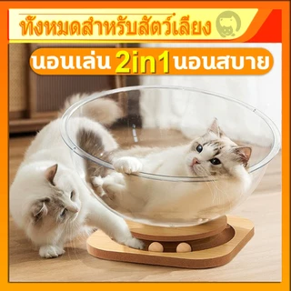 รังแมวแคปซูลอวกาศ🌟ของเล่นแมว หลุมแมว อะคริลิค พร้อมรางบอลแบบรางไม้ โดมแมว หลุมอวกาศ 2 in 1 คอนโดแมว แคปซูลที่นอนแมว