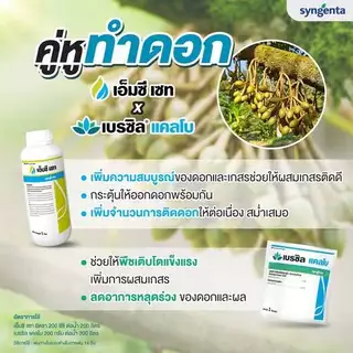 เบรซิล แคลโบ ขนาด 1 กก.แคลเซียมโบรอน ผง ลดผลแตก ลดการหลุดร่วงของดอกและผล ช่วยเพิ่มการติดผลผลิต