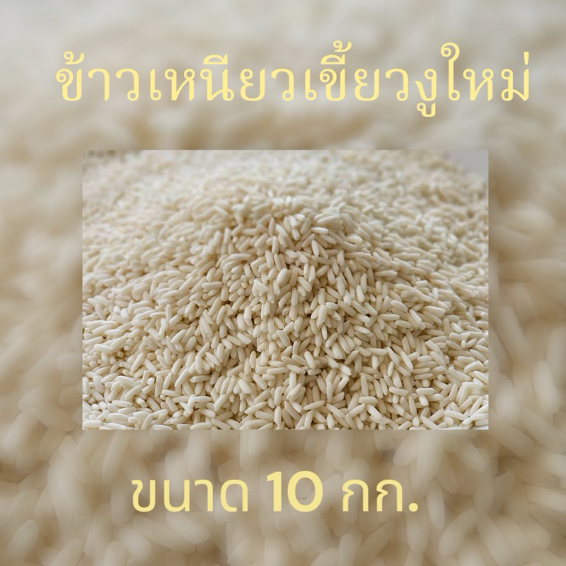 ข้าวเหนียวเขี้ยวงูใหม่