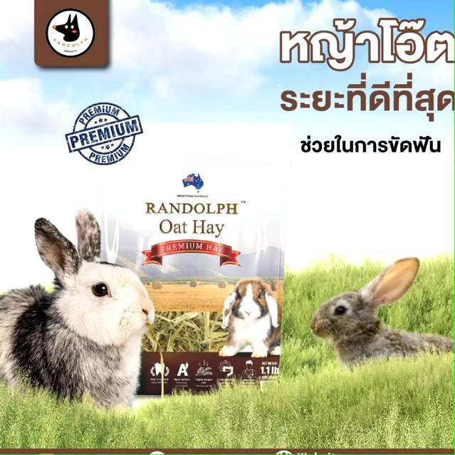 RANDOLPH OAT HAY 500g.  หญ้าโอ๊ต