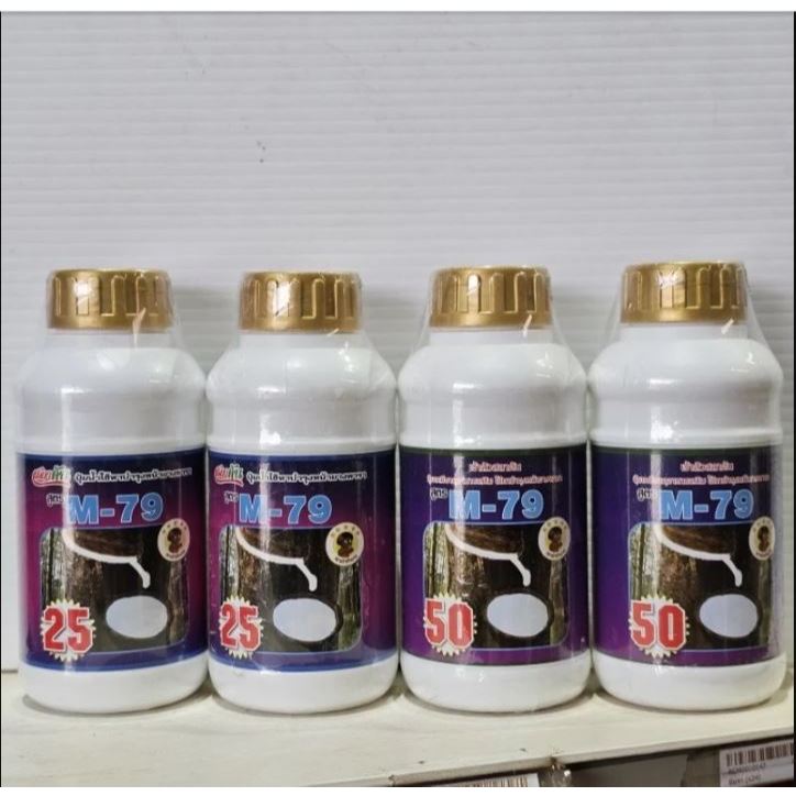 M79 25%และM79 50%  ปุ๋ยน้ำใช้สำหรับบำรุงหน้ายาง สินค้าคุณภาพเงาะป่าห้าดาว  น้ำยางไหลดี ยางมีคุณภาพ น