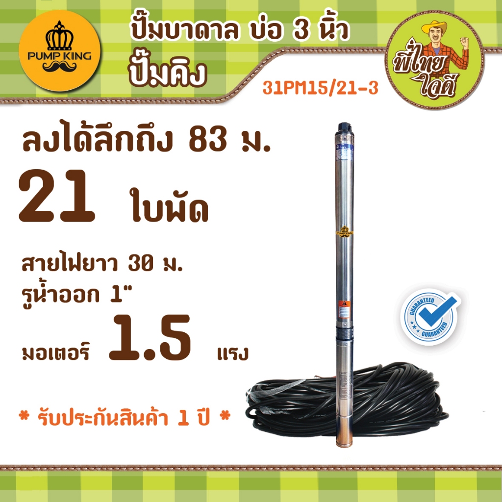 ปั๊มบาดาล บ่อ 3 นิ้ว รุ่น 31PM15/21-3