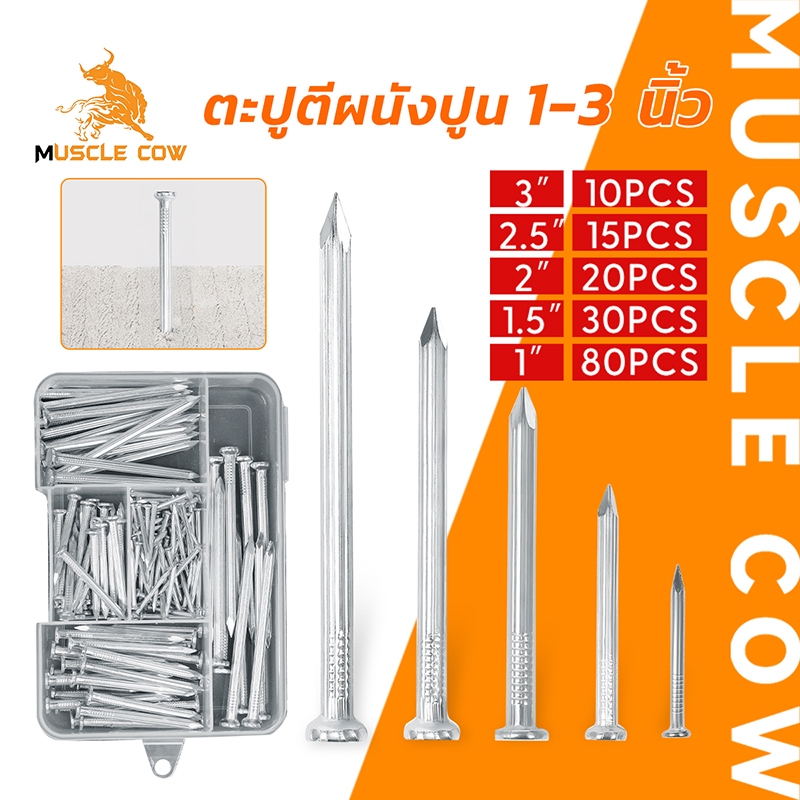 MUSCLE COW สกรู ตะปูตอกคอนกรีต-ยึดผนังปูน ยาว 1-3 นิ้ว