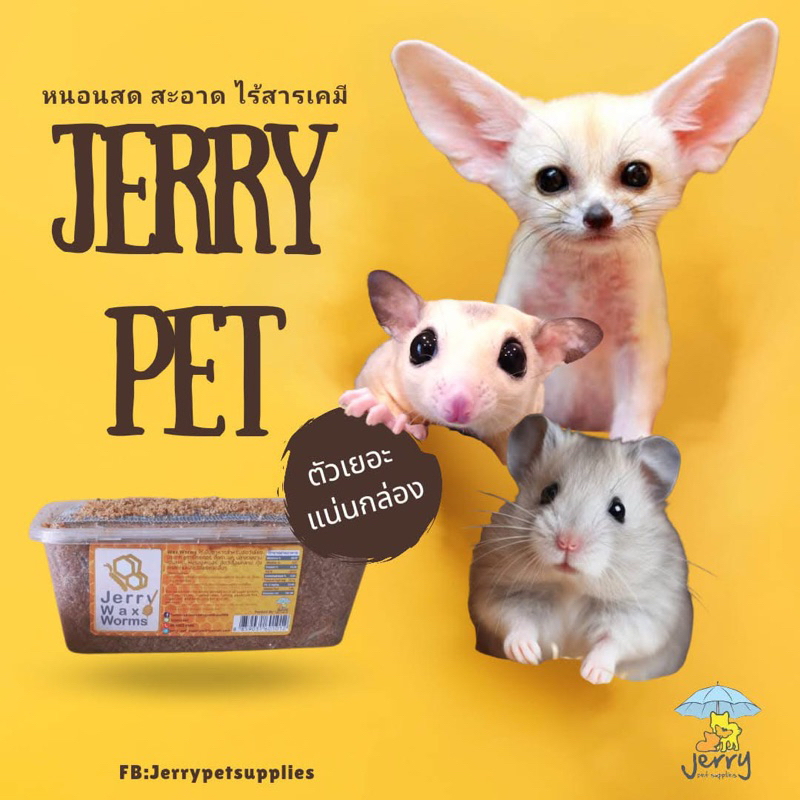 Wax อาหารสุดโปรด 1 กล่อง Jerry  ตอนส่งไปอาจจะมีตุยเล็กน้อย ขอคนรับได้ค่ะ