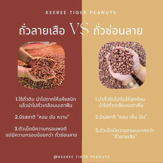 KeeRee ถั่วลายเสือ 500 กรัม (คัดเกรดพิเศษ) จากโรงคั่วถั่ว ท่าโป่งแดง จังหวัดแม่ฮ่องสอน