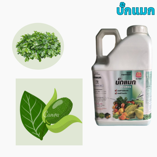 แมกนีเซียม คีเลต ( บั๊คแมก ) แกลอน 5 ลิตร Mg EDTA  ใบเขียวเข้ม เร่งใบให้แก่เร็ว สะสมอาหารก่อนออกดอก ปุ๋ยน้ำ แมกนีเซียม