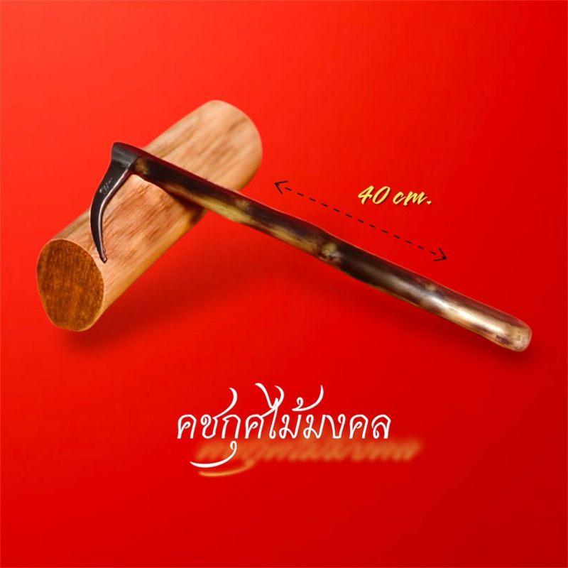 คชกุศ หรือ ตะขอช้าง 40cm. เป็นของแก้อาถรรพ์