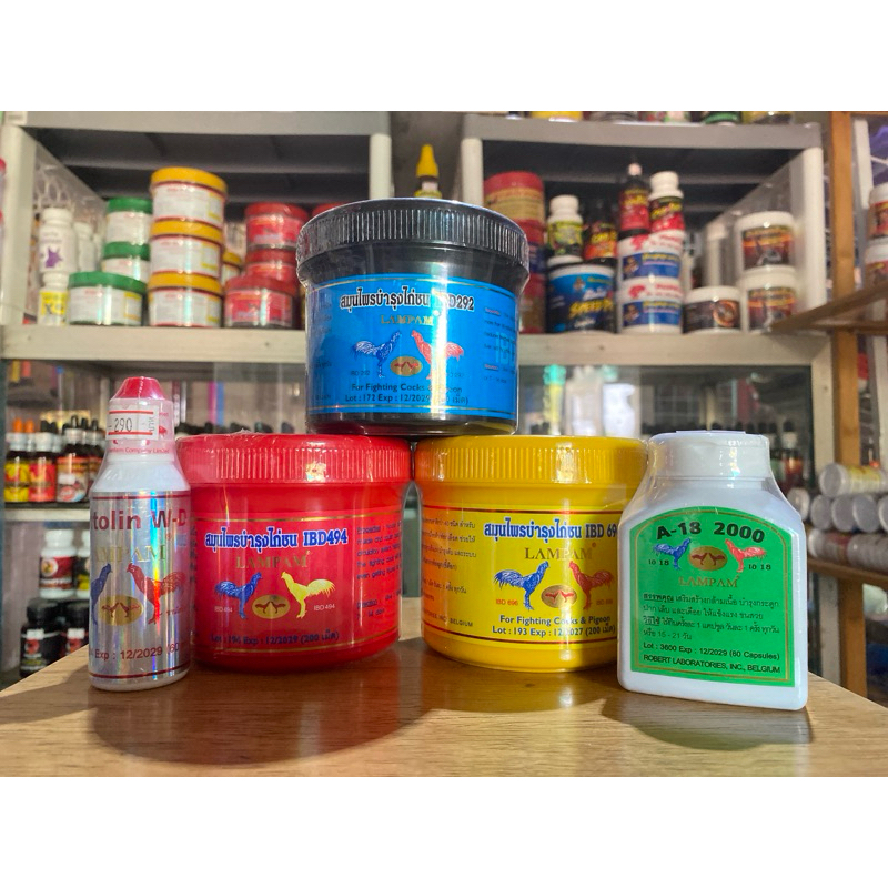 ลำปำ อาหารสัตว์ปีก…ชุดเลี้ยงชนแพง LAMPAM