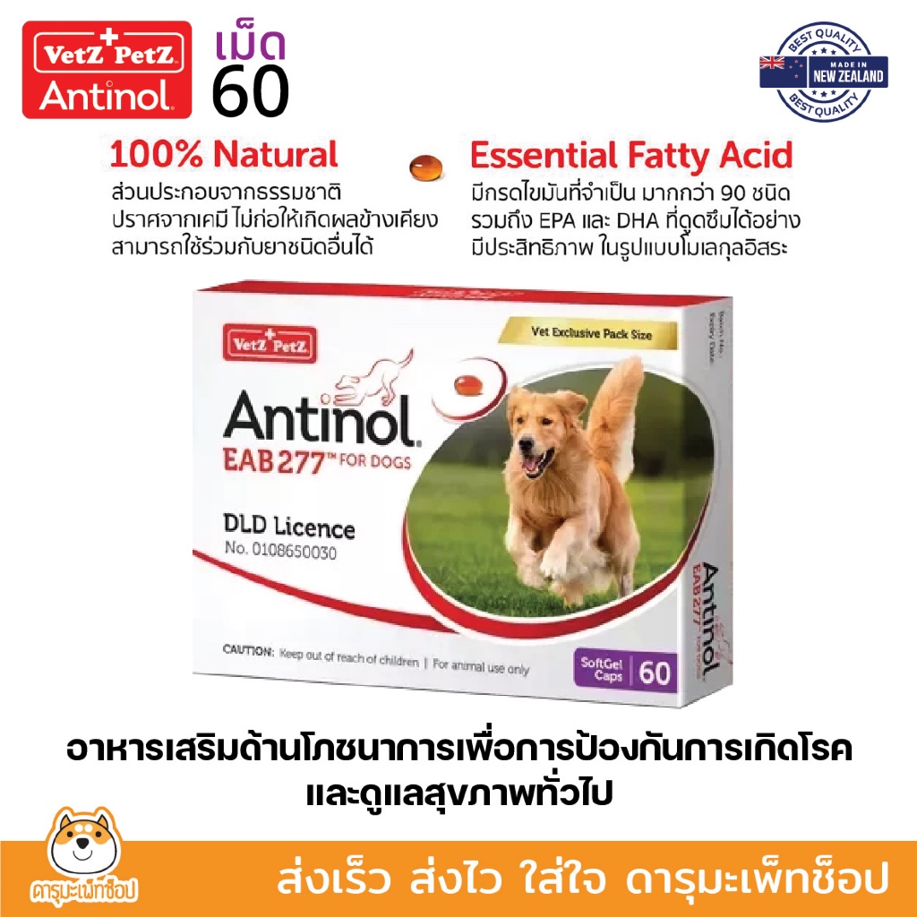 Antinol Dog แอนทินอล อาหารเสริมไขมัน บำรุงข้อ สำหรับสุนัข 1 กล่อง (60 เม็ด) Vetz Petz แอนตินอล