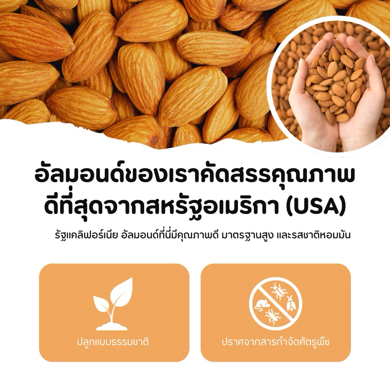 ผงอัลมอนด์ 100 เปอร์เซ็นต์ thumbnail 4