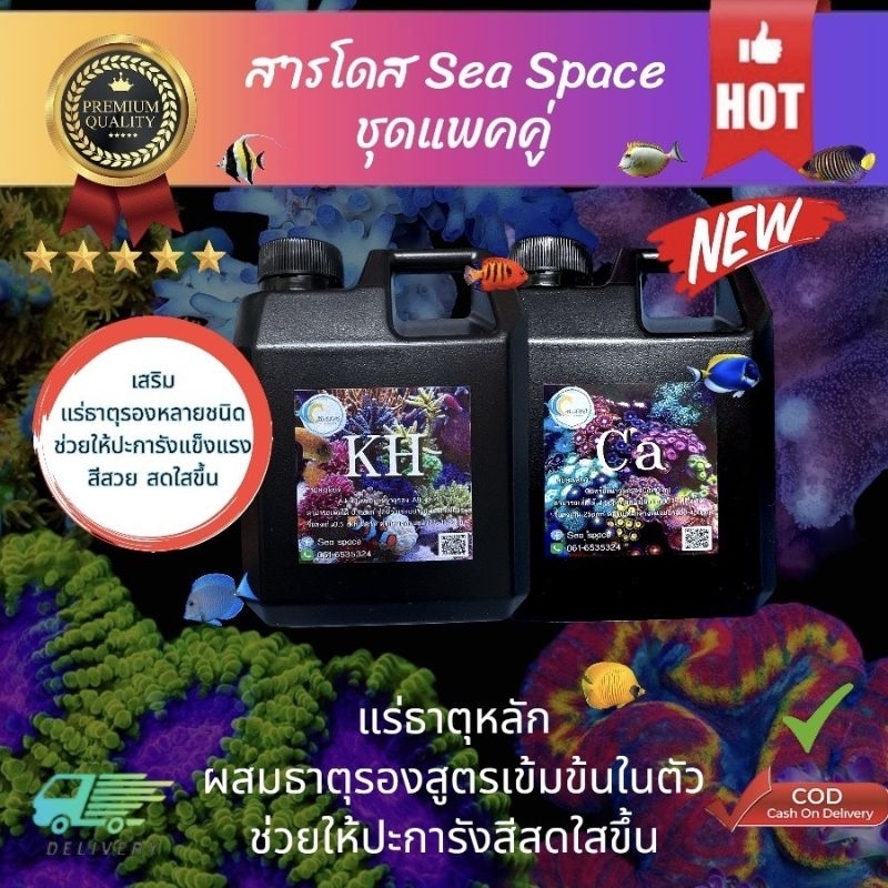 kh,caแกลลอน1000mlแพคคู่
