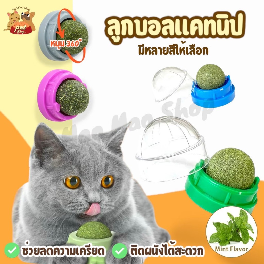 แคทนิป Catnip ลูกบอลกัญชาแมว หมุ่นได้ ติดผนัง ไม่หล่นหาย น้องแมวชอบ สดชื่น ผ่อนคลาย อารมณ์ดี พร้อมส่งในไทย