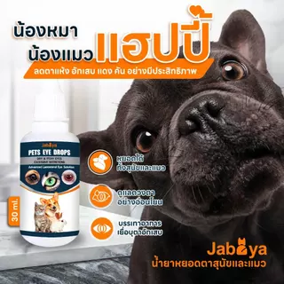 ส่งด่วน! ลบคราบน้ำตา หยดตาสัตว์เลี้ยง ลบขี้ตาสุนัข/แมว คันตา