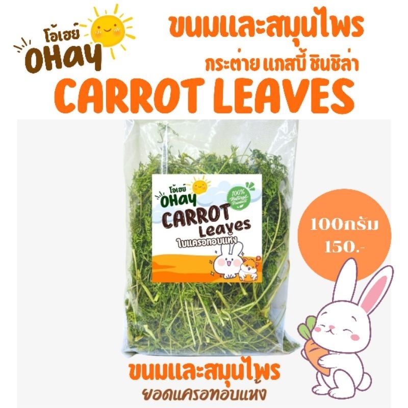 🥕ยอดต้นแครอท ใบแครอทอบแห้ง พรีเมียมสำหรับกระต่ายและแกสบี้