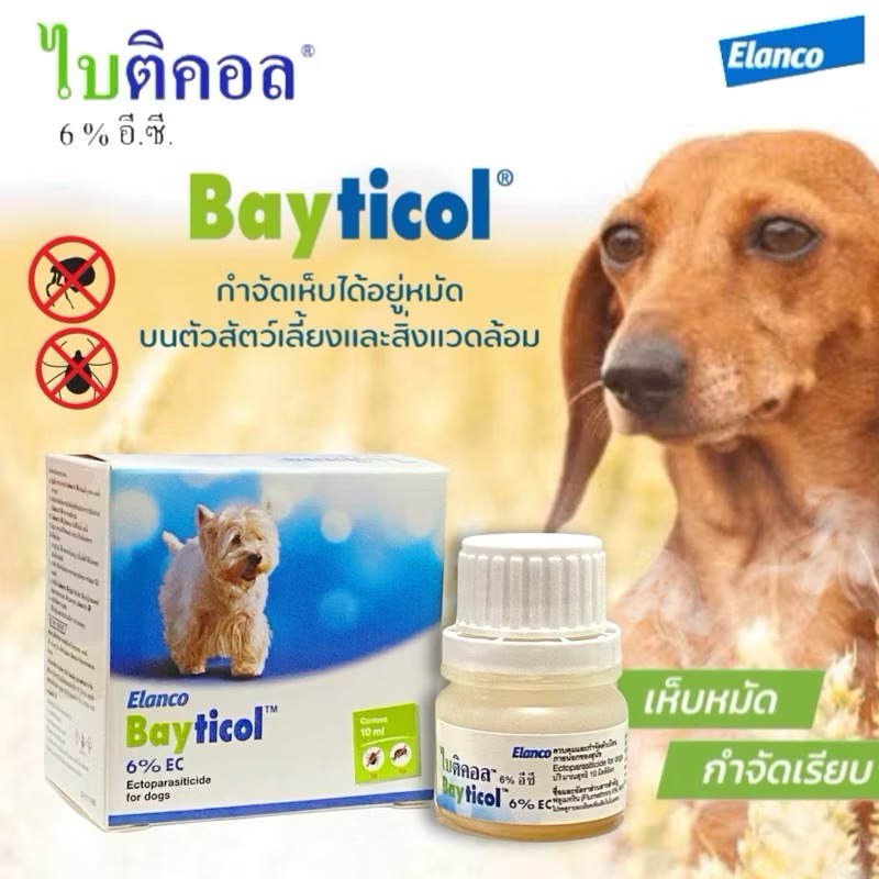 Bayticol ไบติคอล กำจัดเห็บหมัด