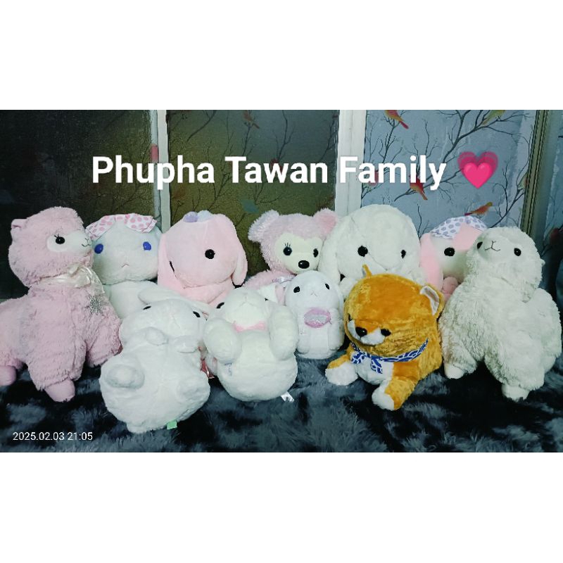 ตุ๊กตา งาน Amuse Classic Cute Bear Amuse นิ่มมากน่ารัก ป้าย Amuse ราคาขึ้นอยู่กับสภาพสินค้า