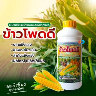 ข้าวโพดดี ขนาด 1 ลิตร รากเเข็งเเรง แตกรากดี ใบหนาเขียวเข้ม