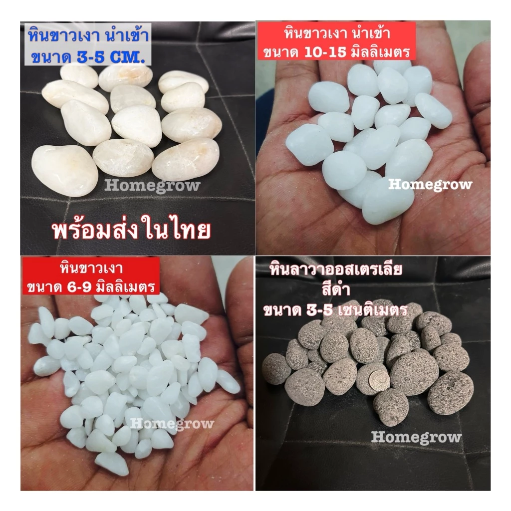 หินขาวเงา หินลาวาดำออสเตรเลีย คัดพิเศษ หินโรยหน้ากระถาง หินตู้ปลา หินแคคตัส หินแม่น้ำ thumbnail 3