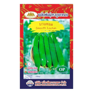 เมล็ดบวบหอม Smooth Loofah ตราภูเขาทอง เมล็ดพันธุ์บวบหอม เมล็ดพันธุ์ผัก เมล็ดพันธุ์ผักสวนครัว บวบหอม