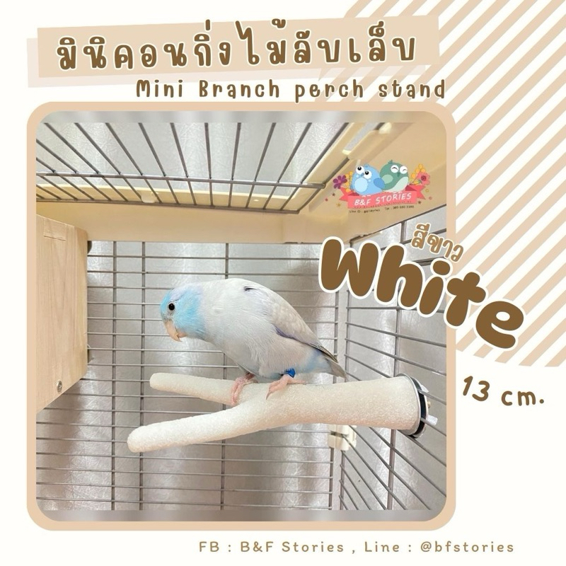 พร้อมส่ง คอนลับเล็บ ทรงกิ่งไม้ ขนาดมินิ
