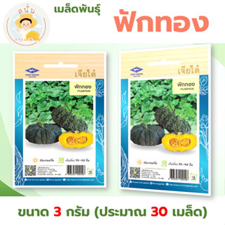 เมล็ดพันธุ์ ฟักทอง (Pumpkin) ผักซอง เจียไต๋ OP ขนาด 3 กรัม (…