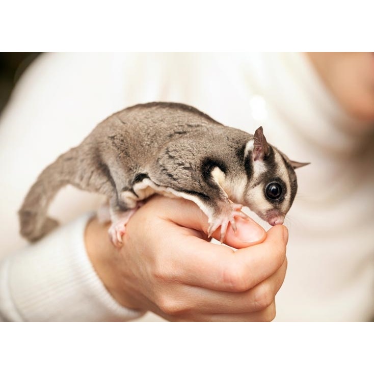 รูปภาพ 3