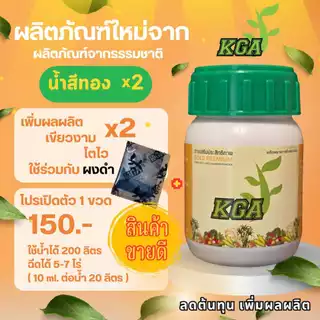 KGAสูตรน้ำ น้ำสีทอง เพิ่มผลผลิตx2