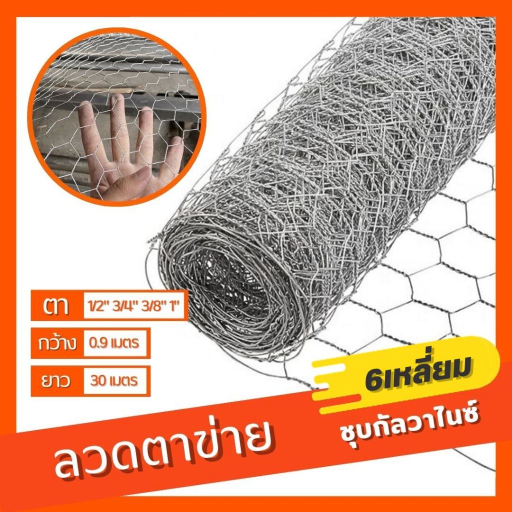 ตาข่ายหกเหลี่ยม (0.9x30m) 1/2" 3/4" 3/8" 1" ตาข่ายลวดกรงไก่ ตะแกรงเหล็ก เชื่อมแน่นไม่หลุด กรงนก กันงู DIY Hexagonal Wire