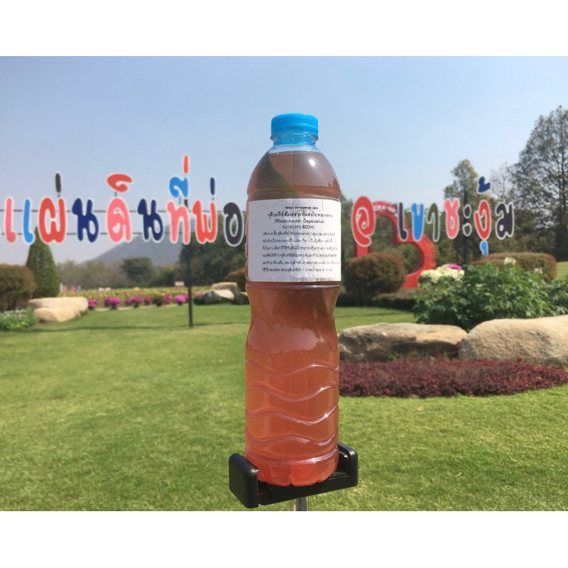 จุลินทรีย์สังเคราะห์แสงใบทองหลาง ขนาด 600 ml. จากเขาชะงุ้ม จ.ราชบุรี (บรรจุมาพร้อมใบทองหลาง)