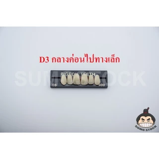 โมเดล นก หน้า กราม แผงย่อย สีมาตรฐานคนไทย สำหรับงานศิลปะ สำหรับปั้นหุ่นขี้ผึ้ง