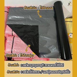 พลาสติกคลุมดิน 0.8ม.x400หลา(360ม) เจาะรูเดี่ยว 1แถว ผ้ายางคลุมดิน ผ้ายางคลุมวัชพืช ผ้ายางคลุมแปลงผัก