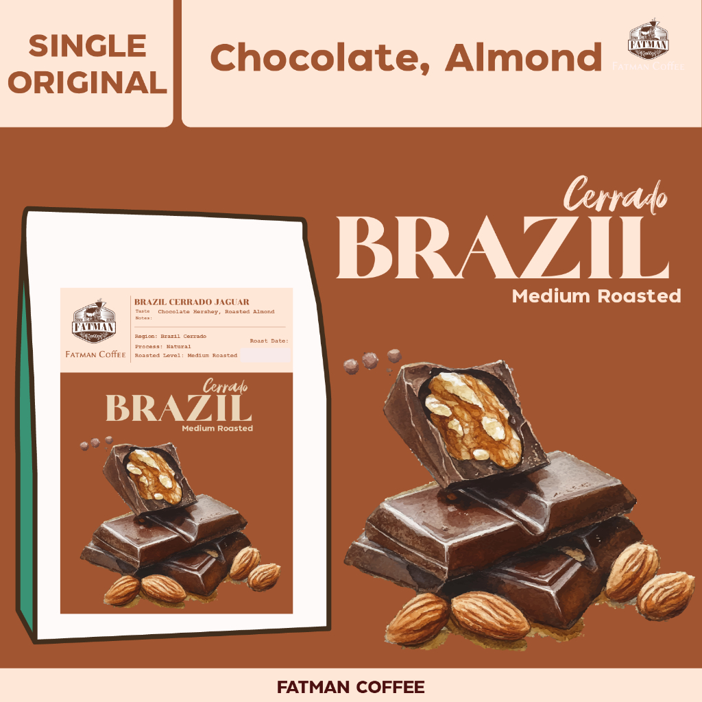 เมล็ดกาแฟคั่วกลาง Brazil Cerrado Jaguar